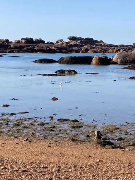 La Bernique Blanche De Perros Vue Mer 4 Personnes Eksteriør billede